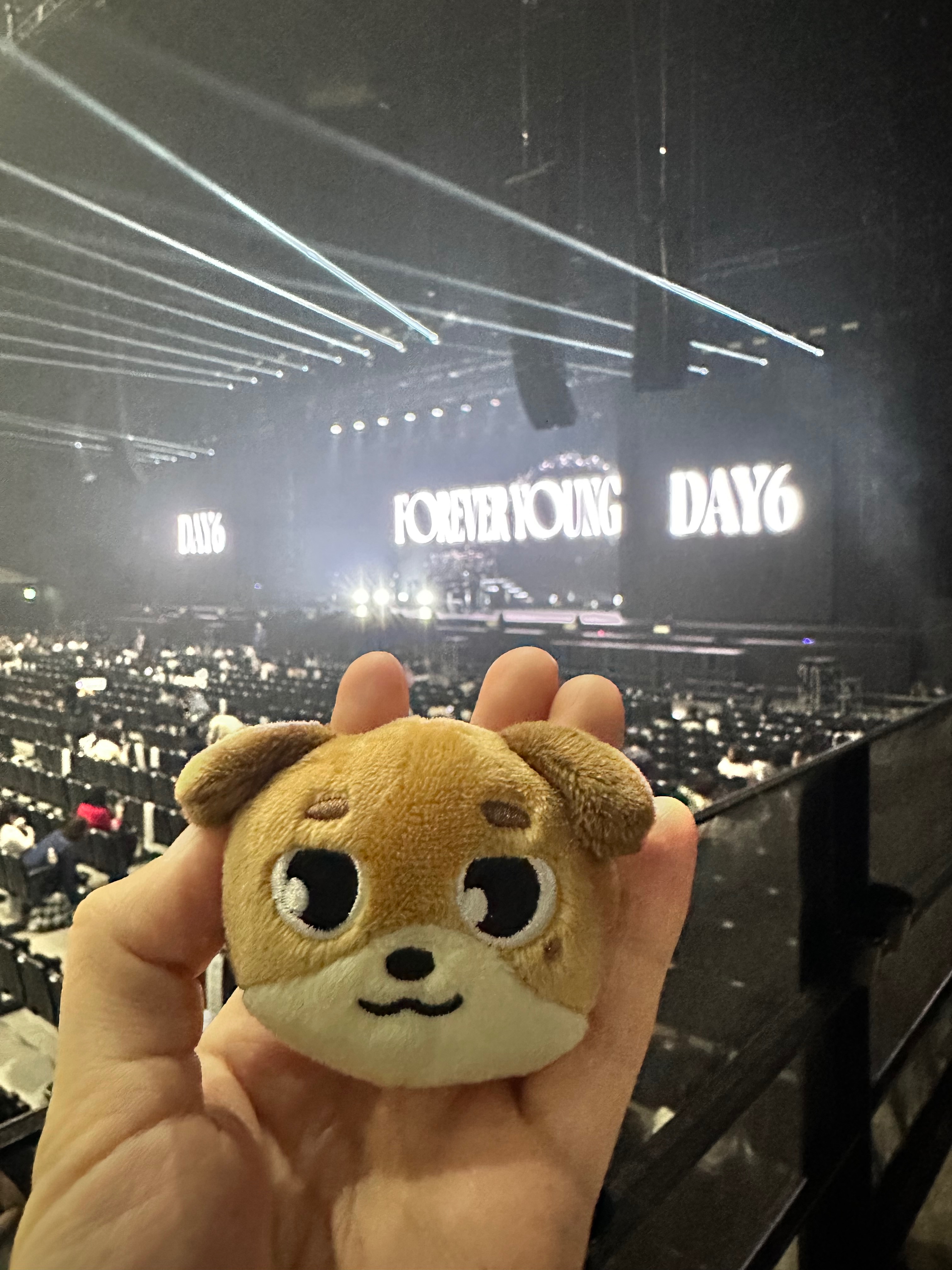 🐻🐶大頭別針（波波波限定）