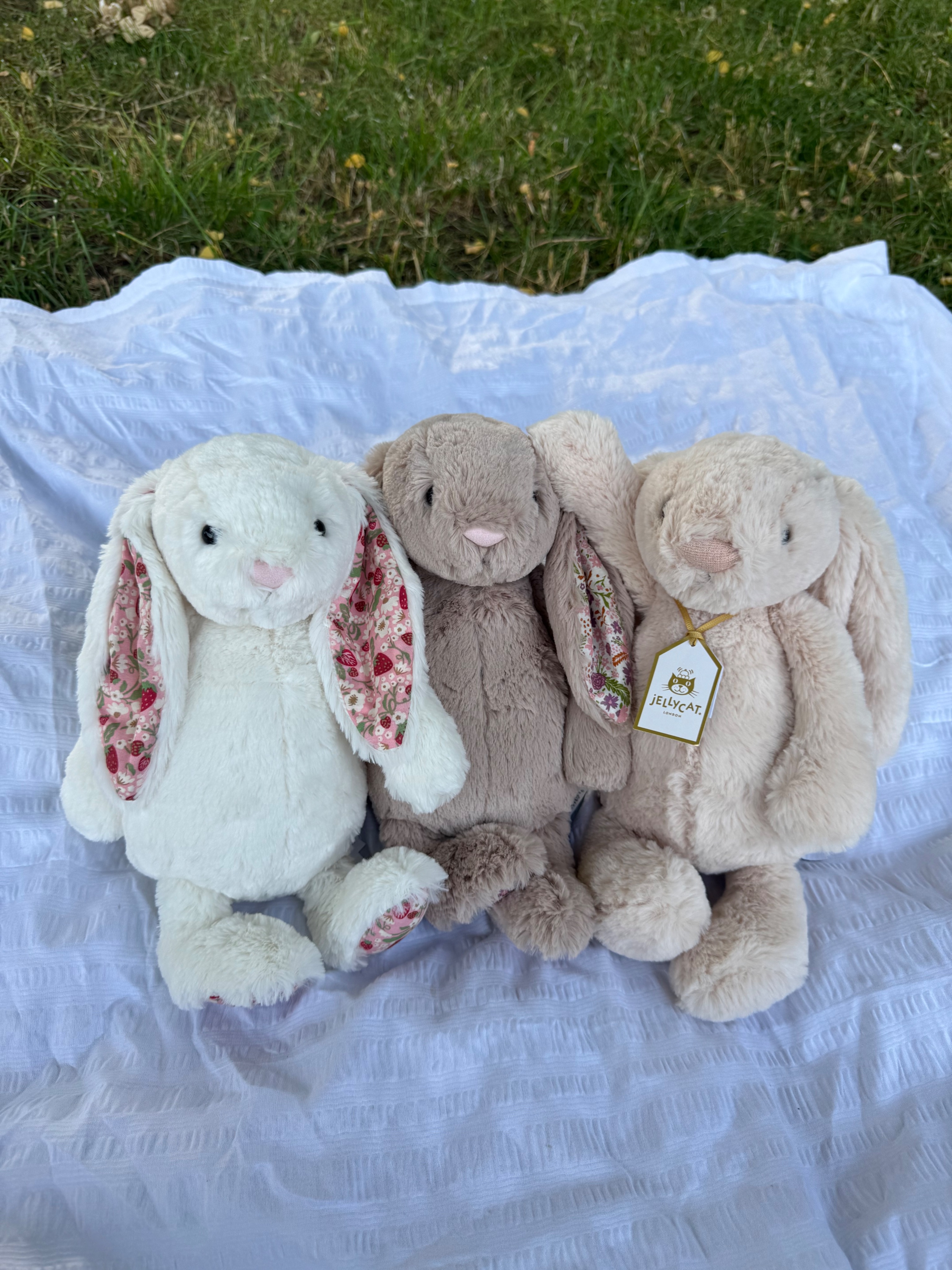 加拿大Jellycat-碎花兔/有花紋/拼色🐰（31cm）