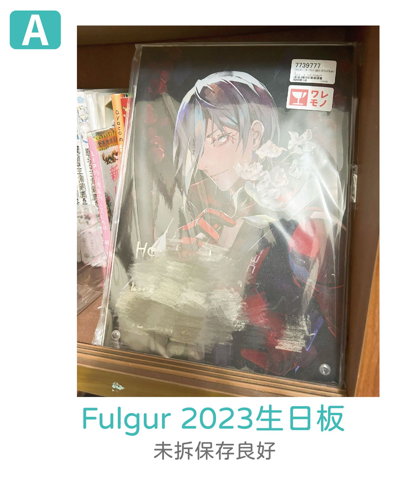 Fulgur 2023生日板