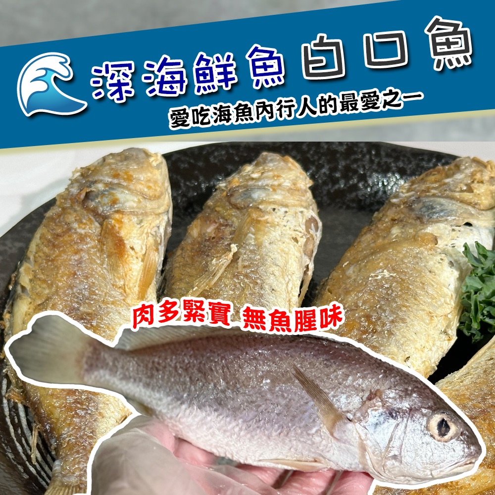 深海白口魚