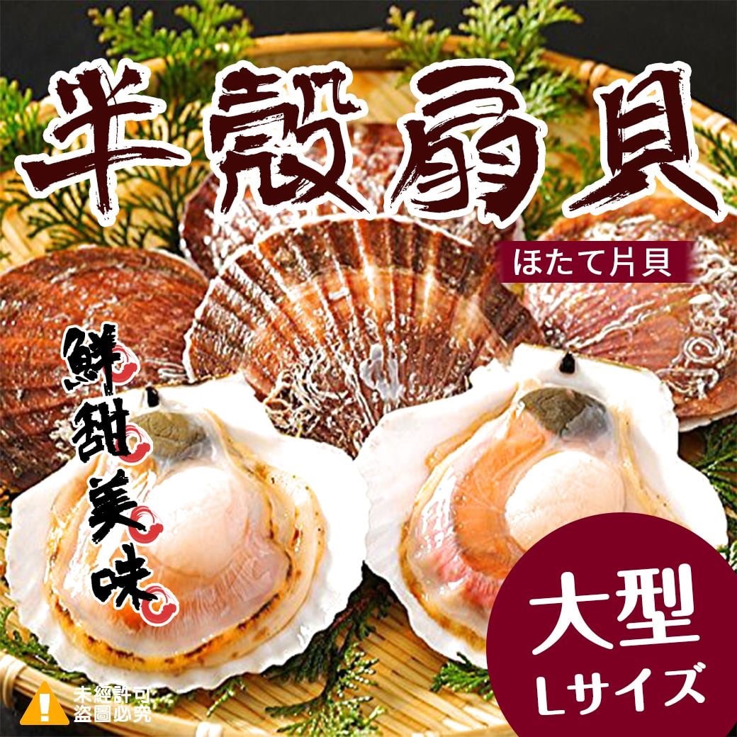 大規格有卵半殼扇貝