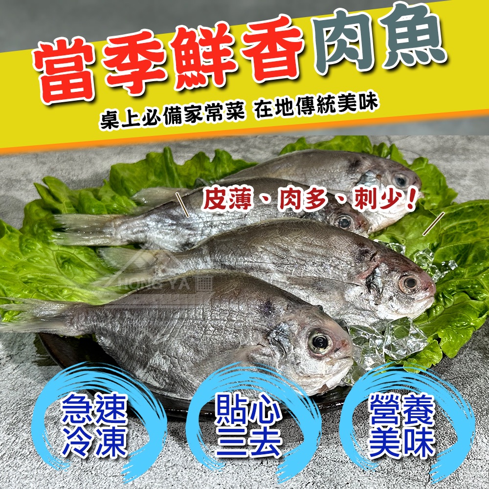 鮮凍野生肉魚（肉鯽魚）4尾