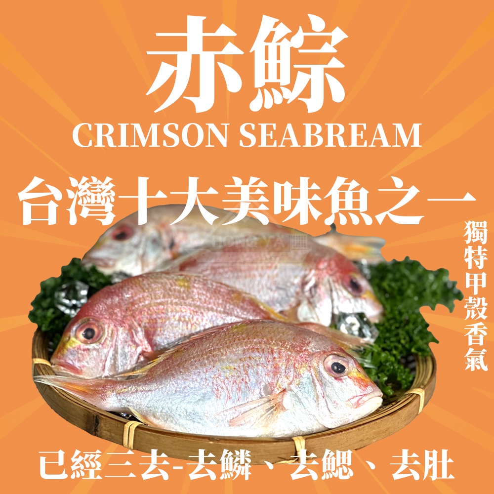 深海赤鯮4尾
