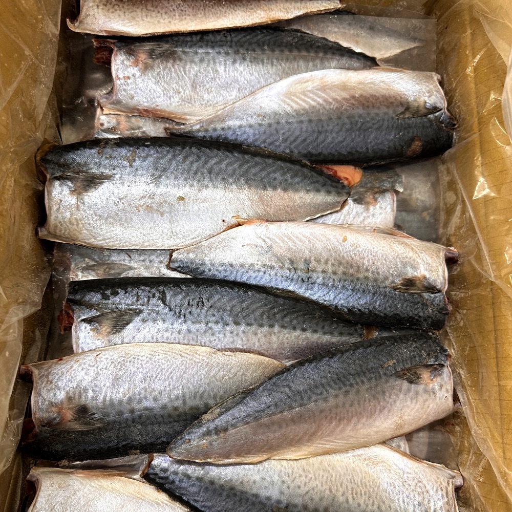 台灣鯖魚整件出貨