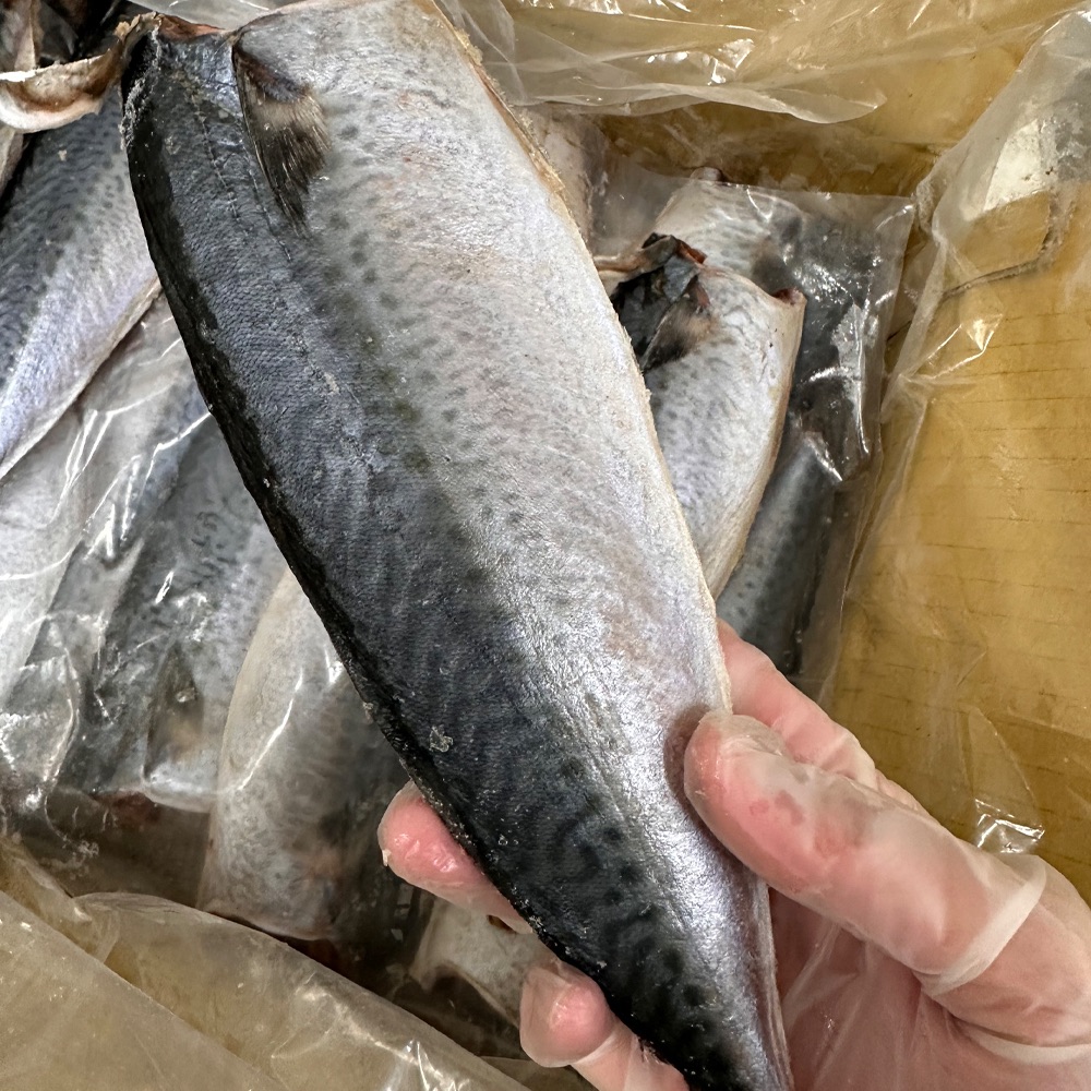 限量 台灣鯖魚 年中優惠