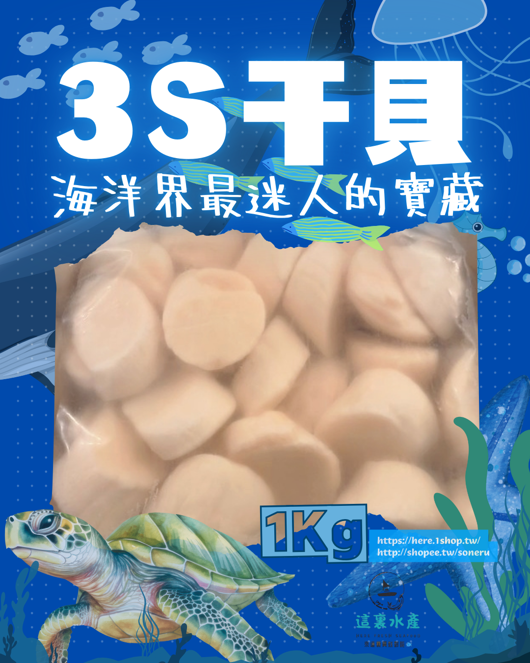 【3S干貝/公斤】💎海洋界最迷人的寶藏！『這裏水產』現貨/快速出貨