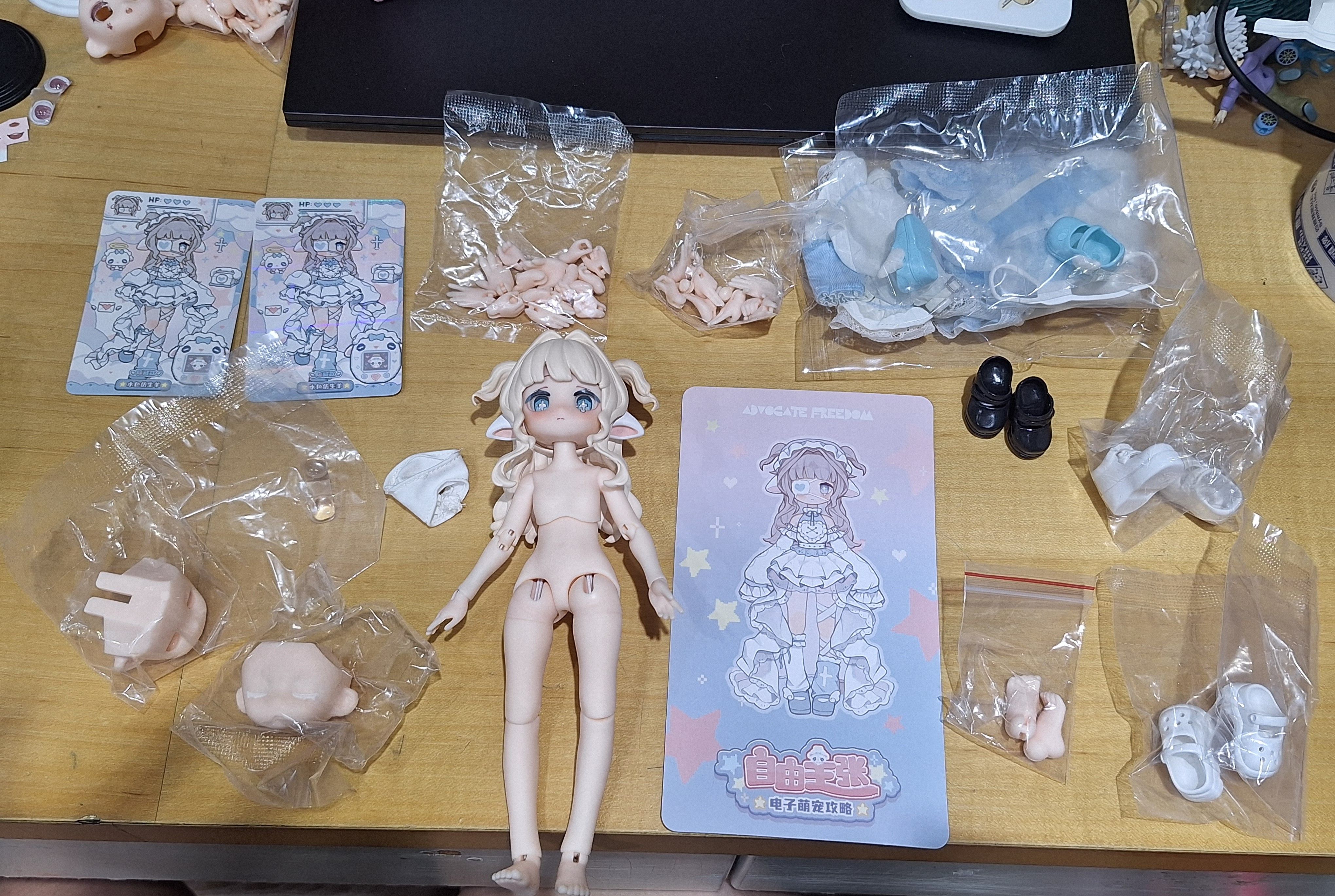 自由主張 隱藏羊 有盒