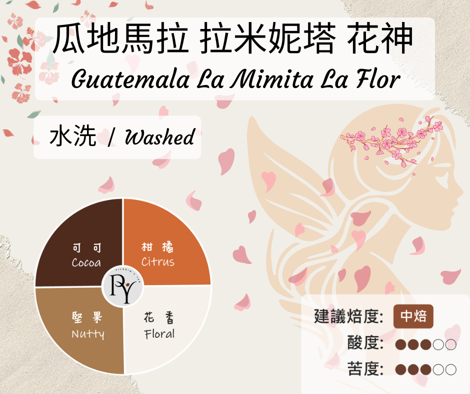瓜地馬拉 拉米妮塔 花神 水洗 | 半磅