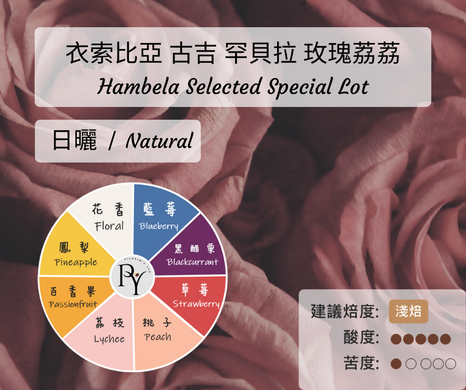 衣索比亞 古吉 罕貝拉 玫瑰荔荔 日曬 | 半磅