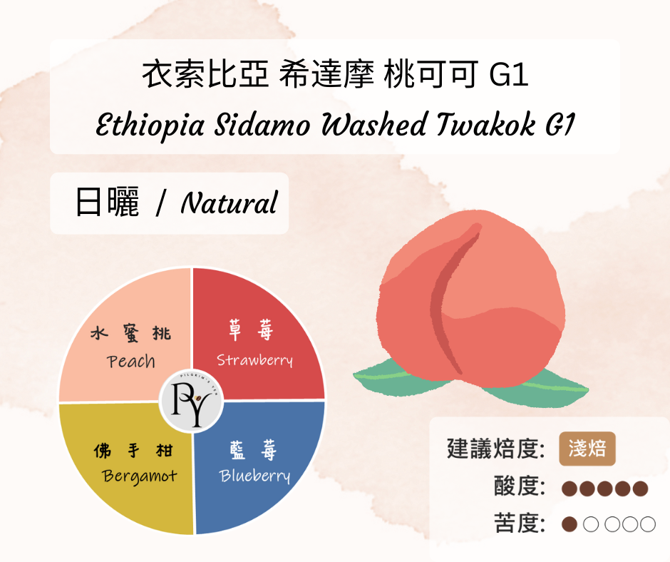 衣索比亞 希達摩 桃可可 G1 日曬 | 半磅