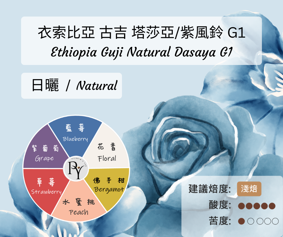 衣索比亞 古吉 塔莎亞 紫風鈴 G1 日曬 | 半磅