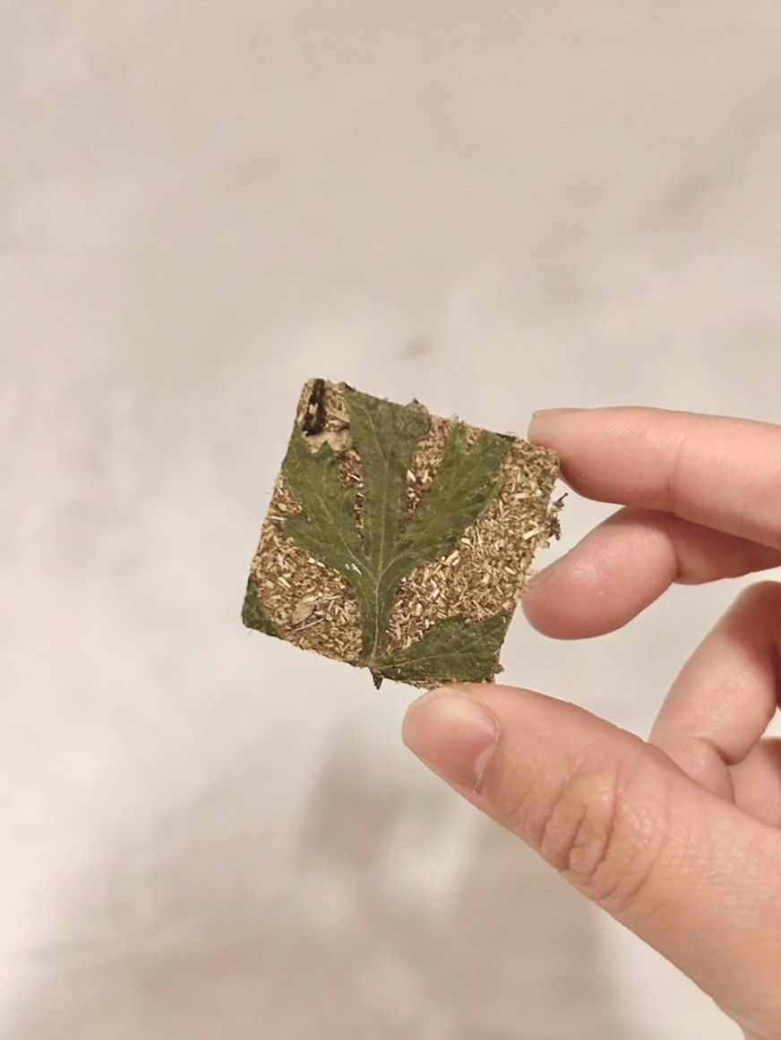 限量＜艾草口味＞接單新鮮現做🌿 純天然兔子草餅 提摩西草 無香料