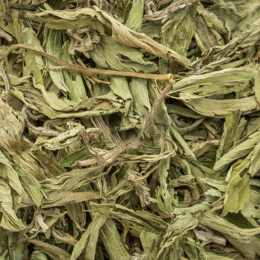 保健花草系列｜甜葉菊