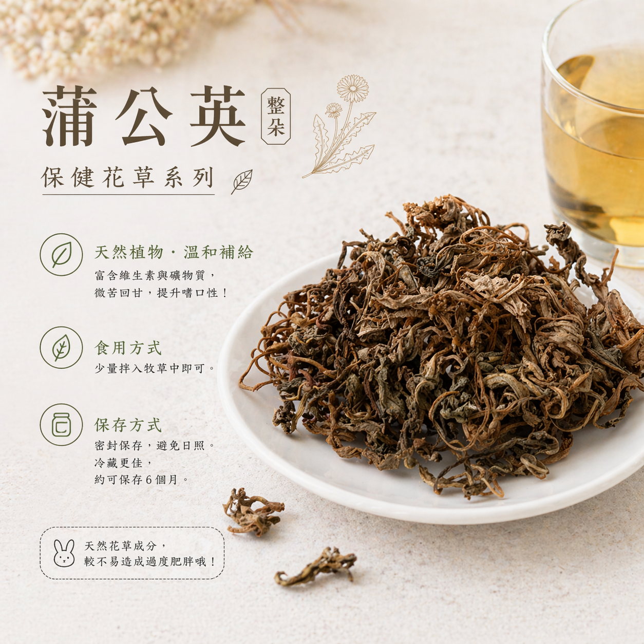 保健花草系列｜蒲公英 整朵