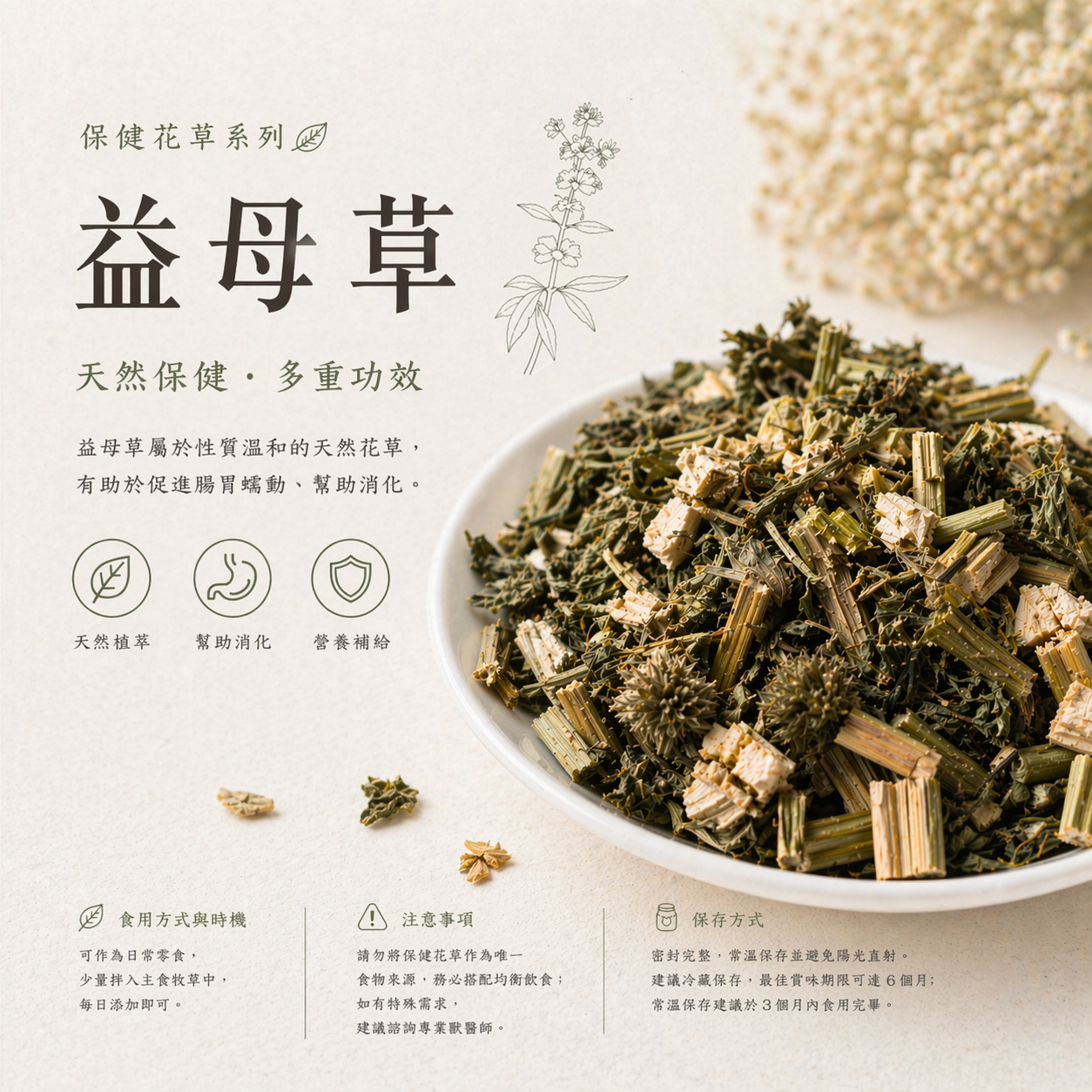 保健花草系列｜益母草
