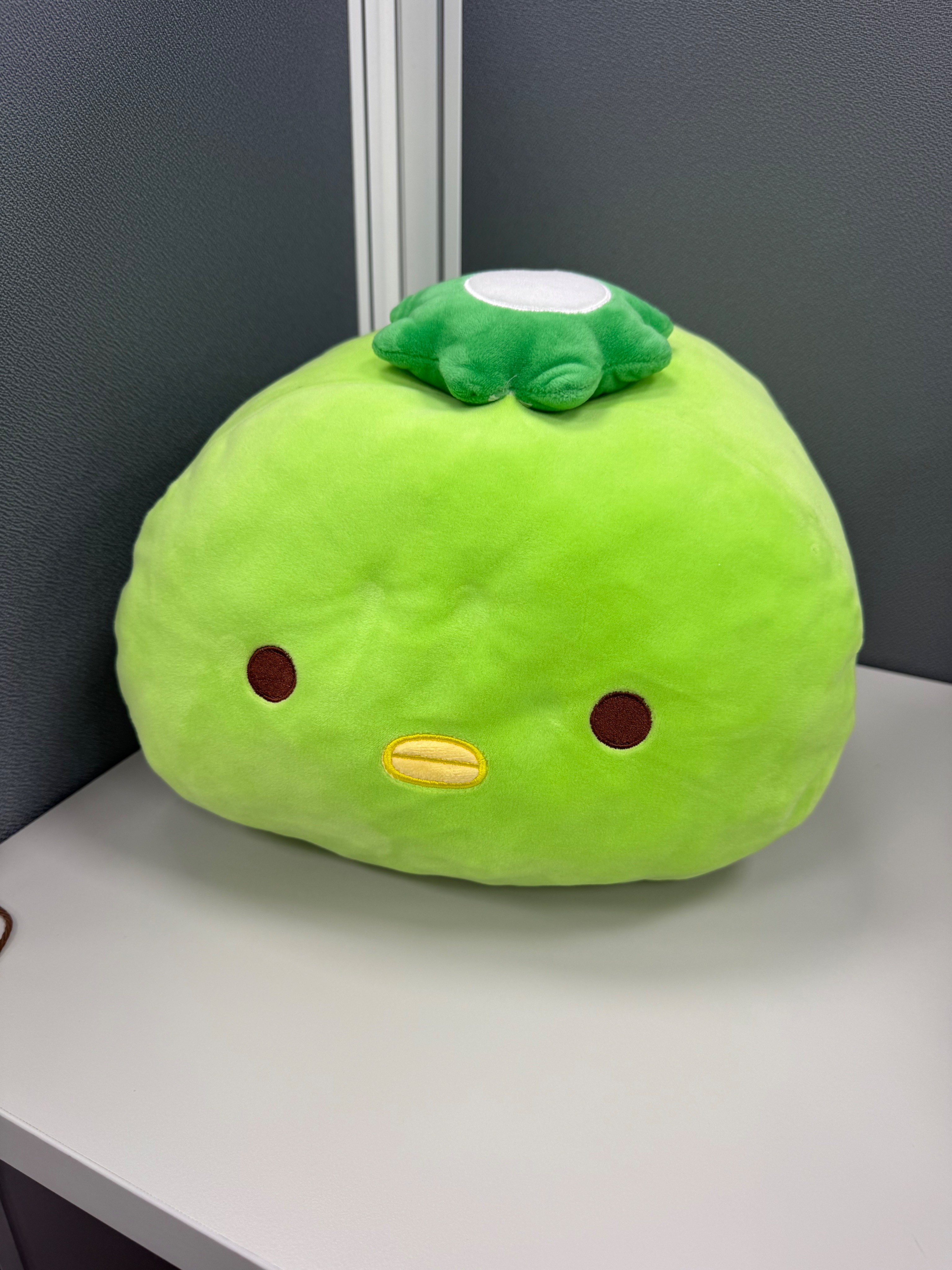 [九成新] 角落生物午睡枕 暖手枕