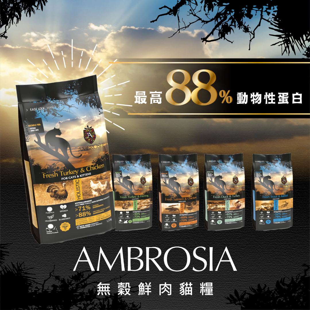 貓貓專屬「安柏希雅AMBROSIA」低碳 高蛋白 適口性高 無穀鮮肉貓糧 100g