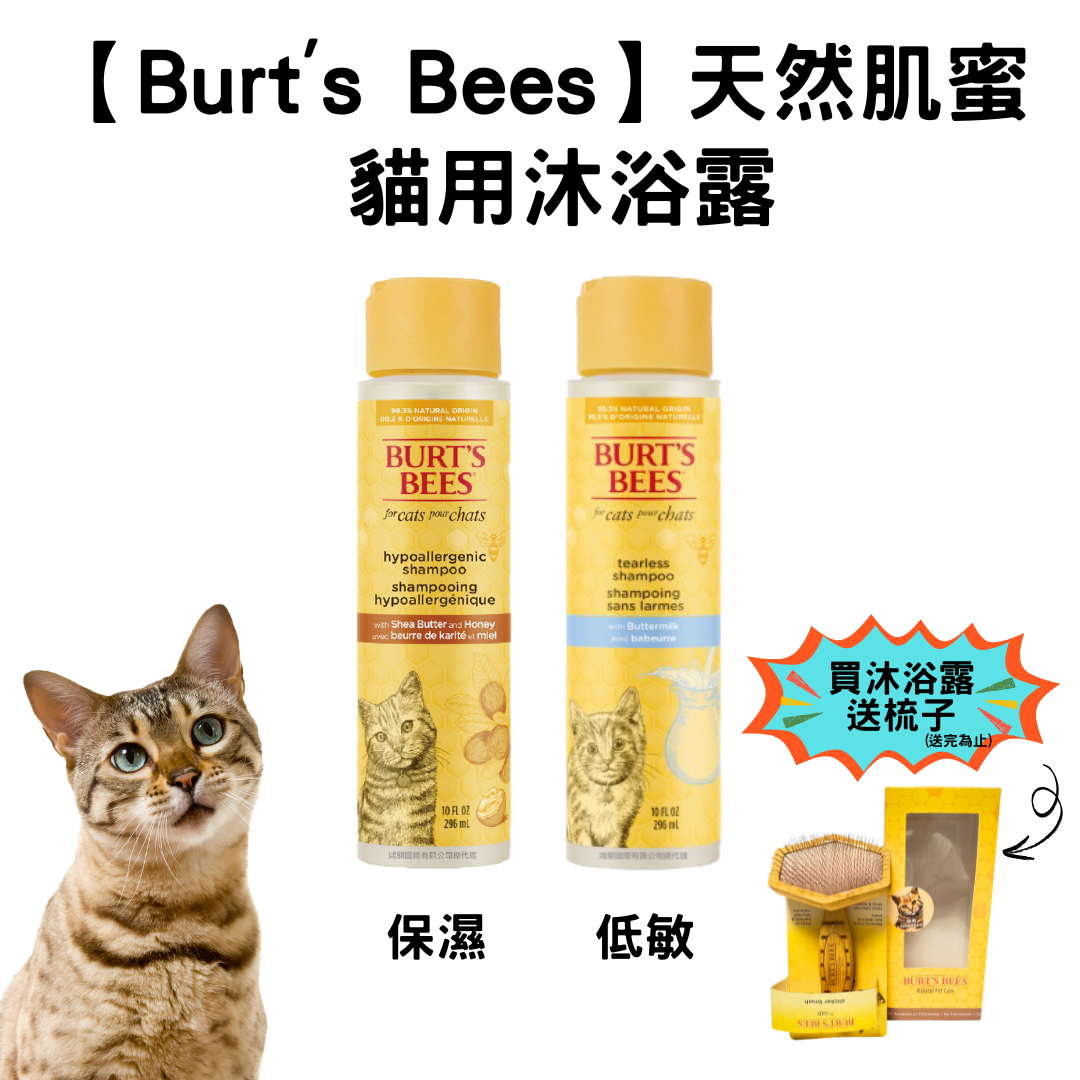 貓貓專屬「BURT’S BEES 伯特小蜜蜂」天然肌蜜蜂蜜沐浴露296ML