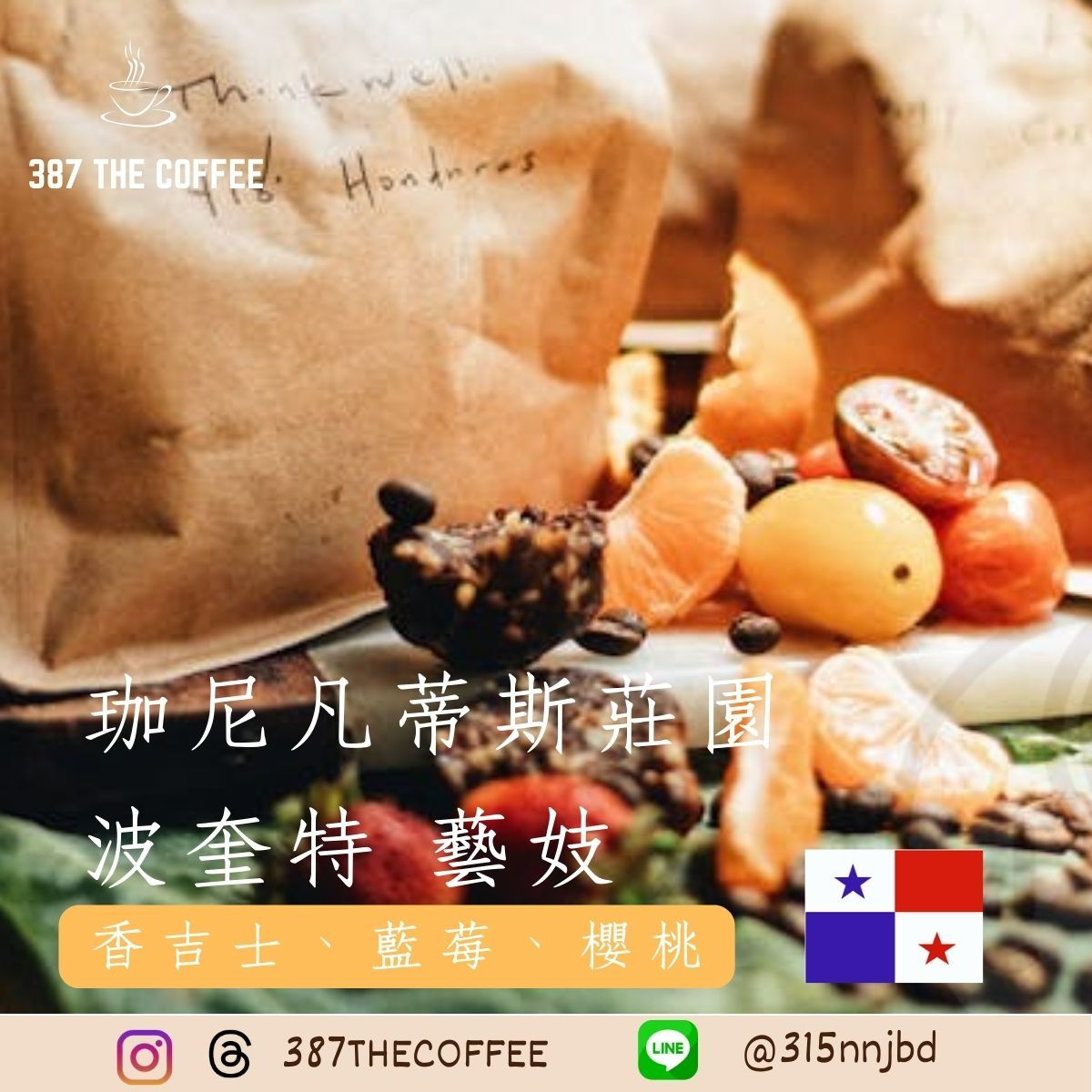 【387 The Coffee】✨稀有藝妓✨巴拿馬波奎特｜珈尼凡蒂斯莊園｜競標批次｜水洗｜淺度烘焙
