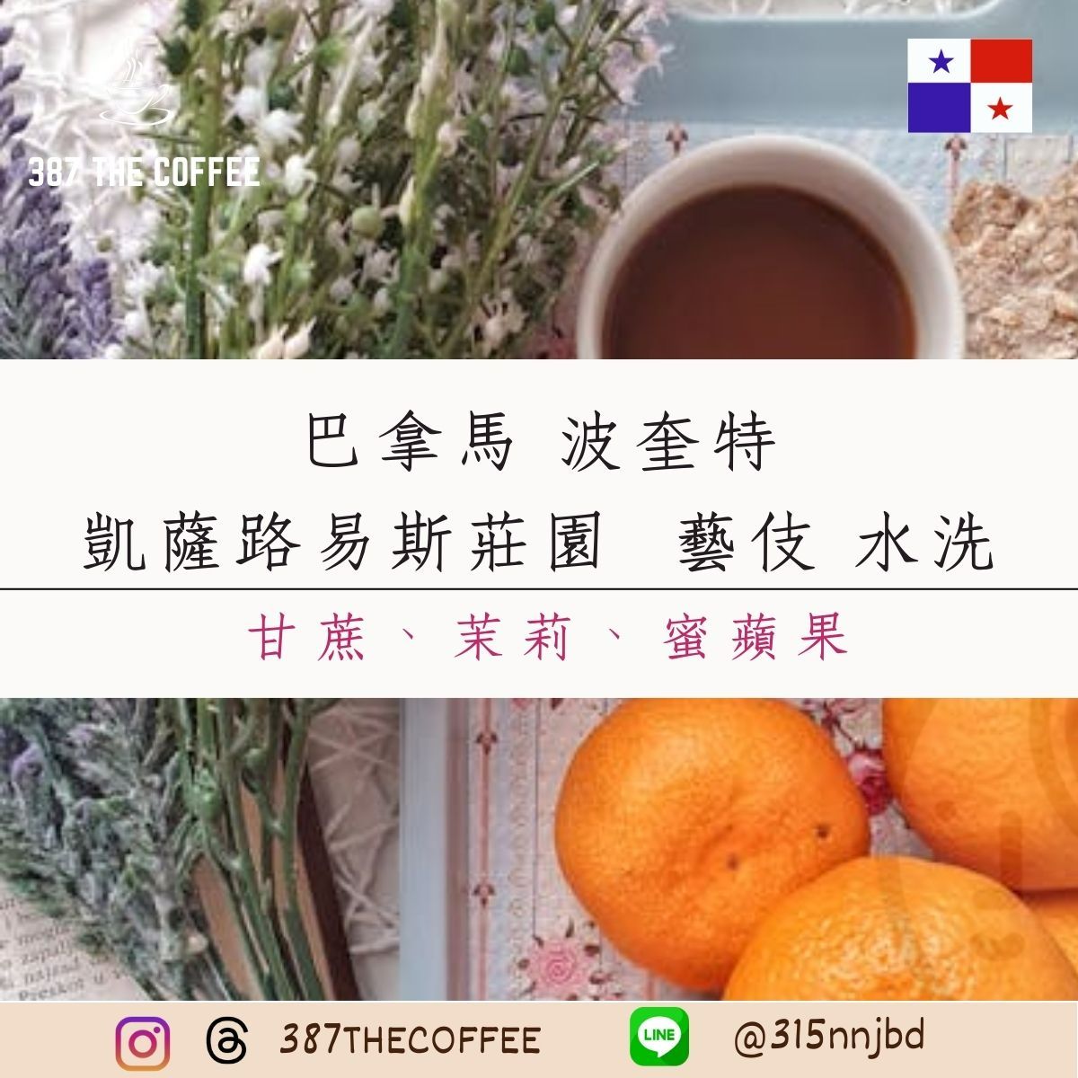 【387 The Coffee】✨獨家藝妓✨巴拿馬波奎特｜凱薩路易斯莊園｜水洗｜淺度烘焙