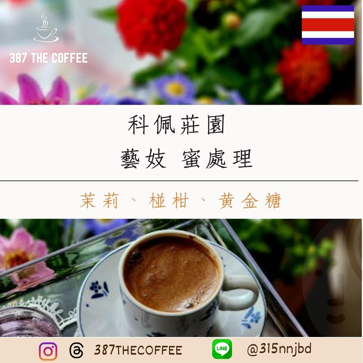 【387 The Coffee】✨市場獨有✨哥斯大黎加｜科佩莊園｜藝伎｜蜜處理｜淺度烘焙