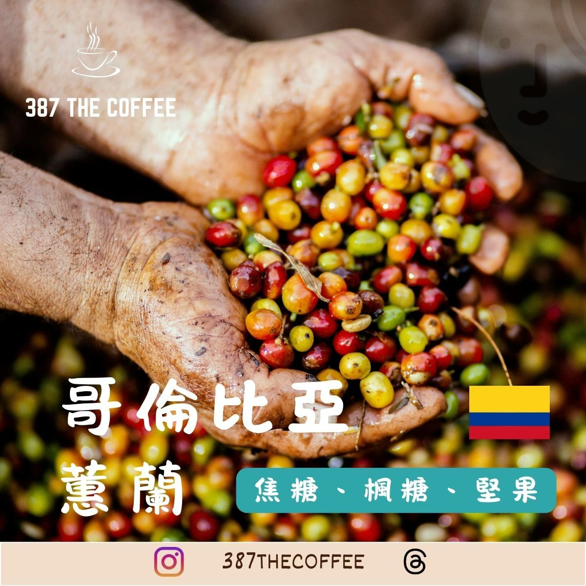 【387 The Coffee】哥倫比亞｜蕙蘭 Excelso｜水洗 ｜中度烘焙