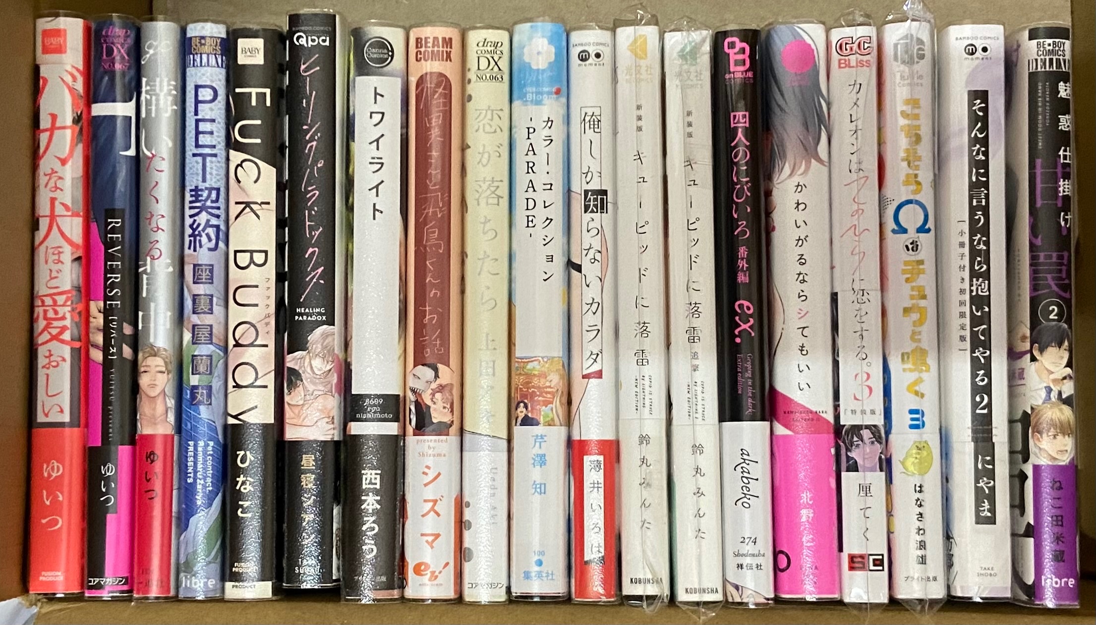 有下單即可自由索取 （不限本數）