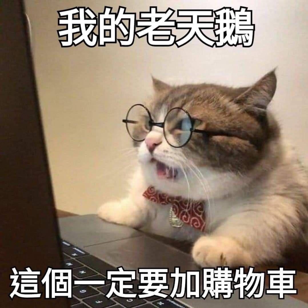 手續費一單請下一個