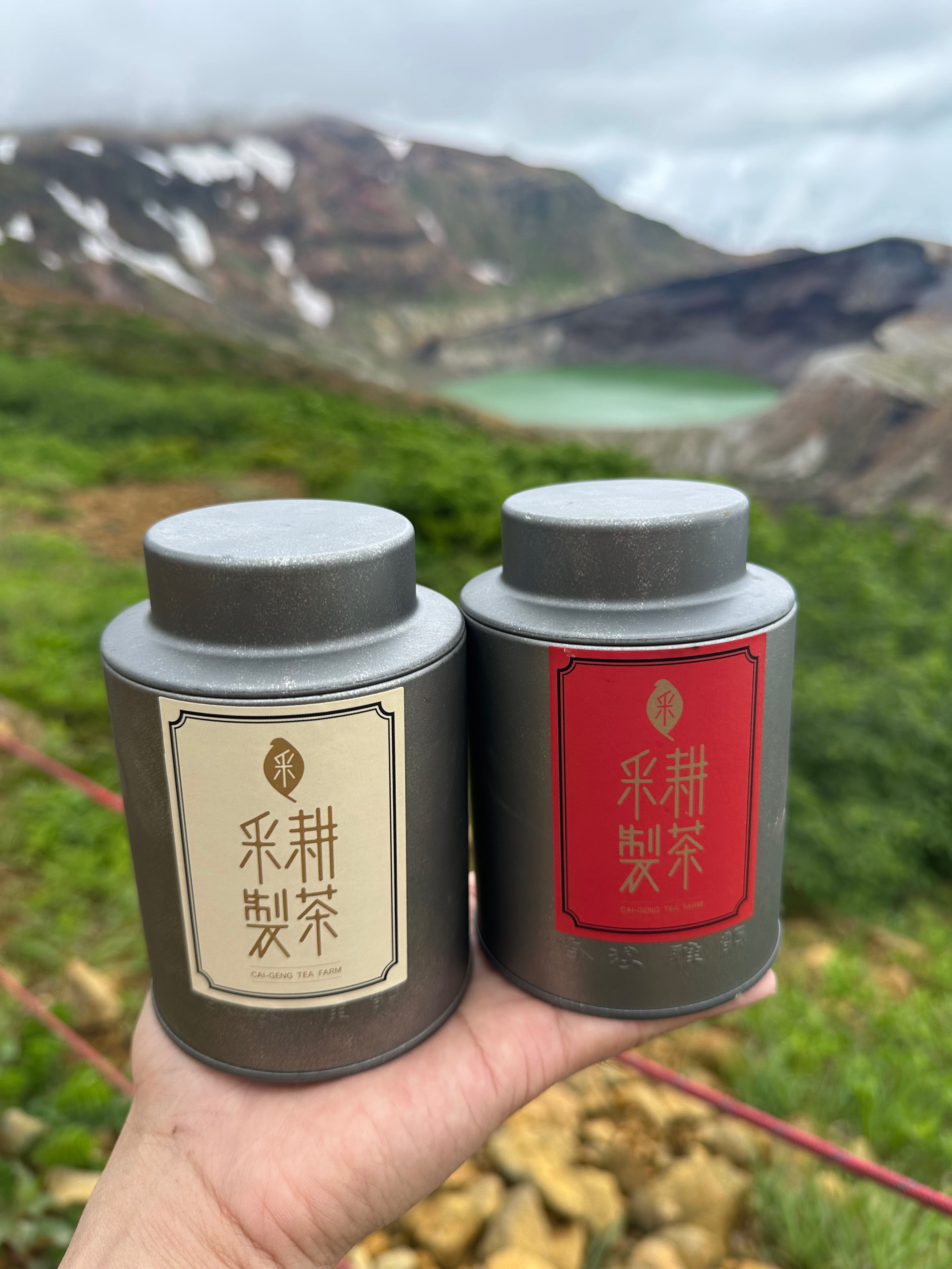 『正欉鐵觀音、木柵鐵觀音』2兩裝、茶葉 球型烏龍茶 焙火果香 焦糖奶油香 熟果香（中發酵、重焙火）