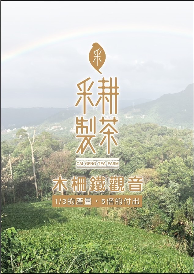木柵鐵觀音NG版、商用版「半斤裝」