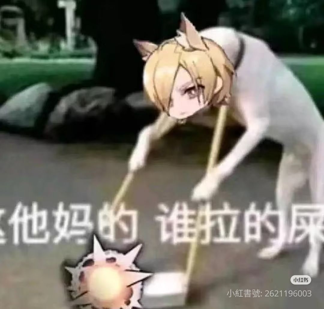 加強包材專用拍