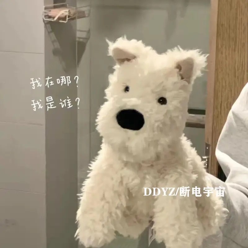 DDYZ·可愛西高地潦草小狗安撫毛絨 公仔睡覺少女心解壓治癒禮物