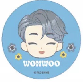 PETITEEN BANDAI變化徽章