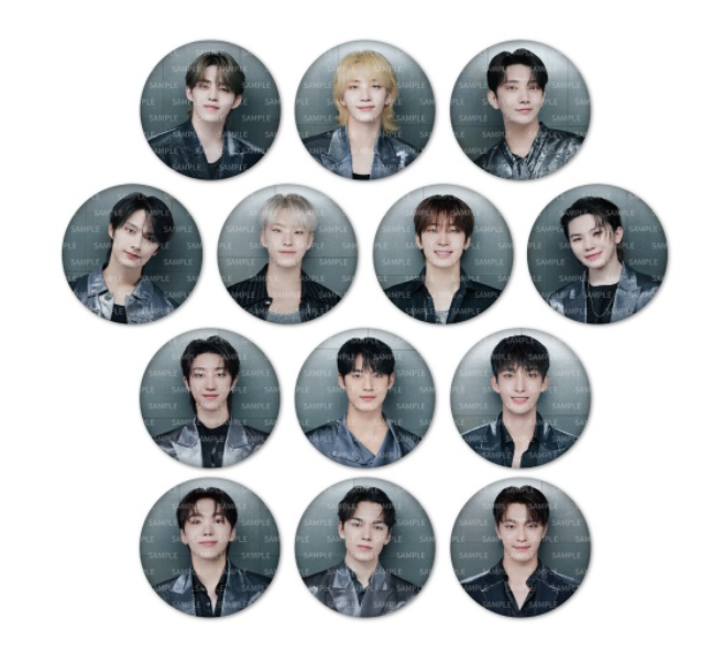 [RIGHT HERE JAPAN] CAN BADGE 徽章