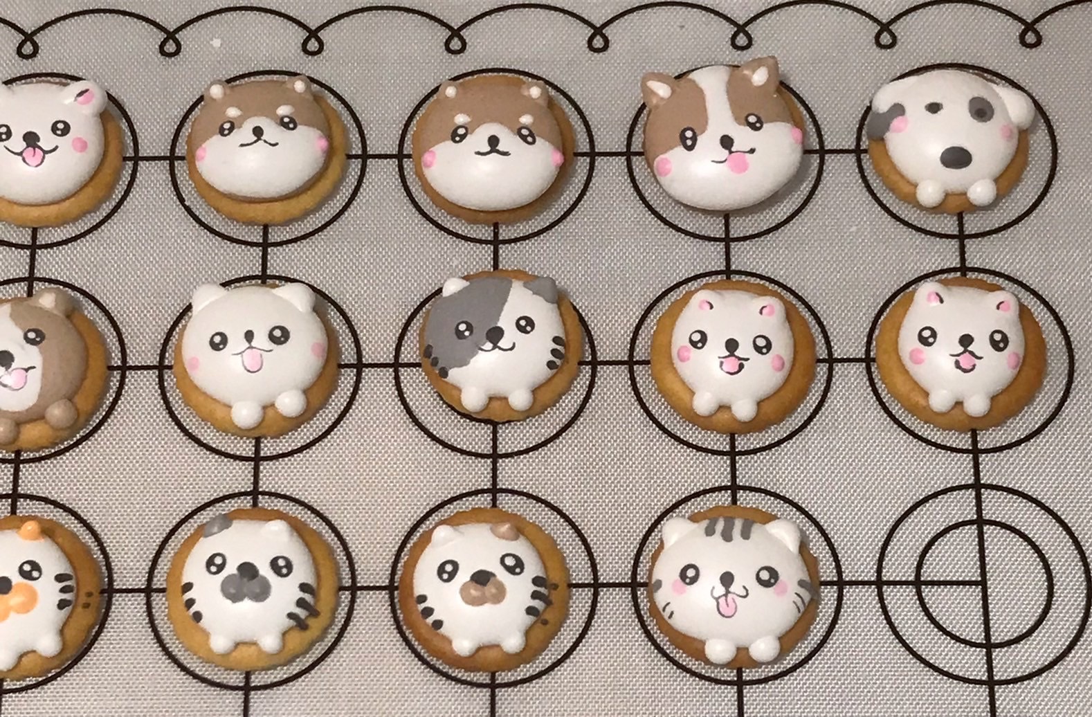 🐱🐶貓貓狗狗綜合 小圓餅乾款 10入|20入