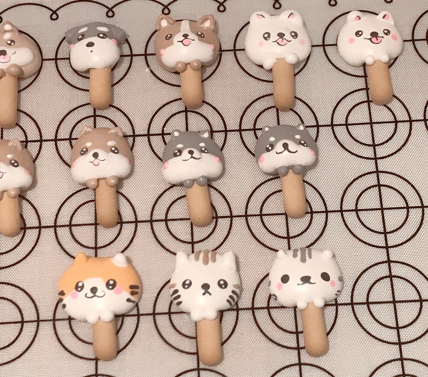 『 🐱🐶貓貓狗狗綜合-口糧棒款 』10入|20入