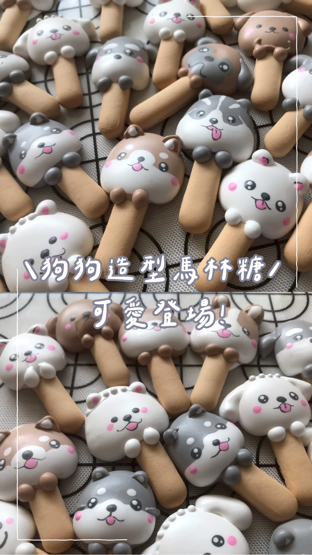 🐶🐶狗狗專屬 口糧棒款 10入丨20入