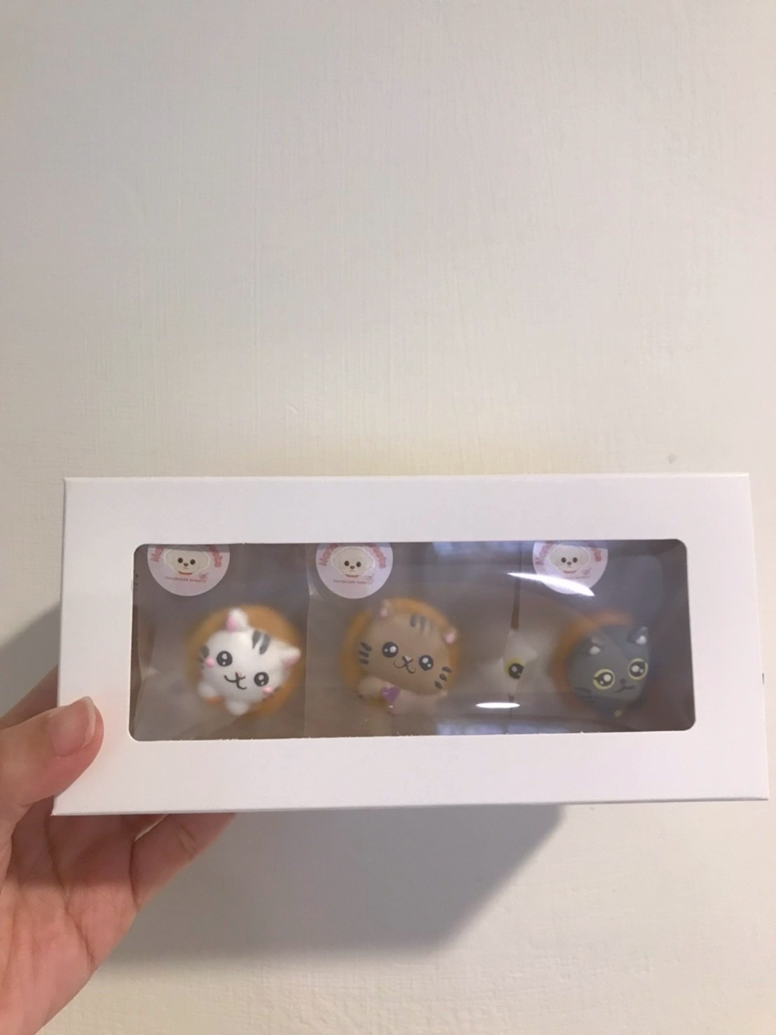 🐱🐱貓貓專屬 小圓餅乾款 10入丨20入