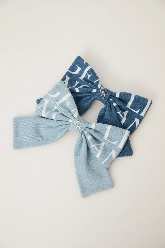 【預購】 Ribbon Clip（勿直接下單 請先私訊IG詢問⮕@_w.e_shop）