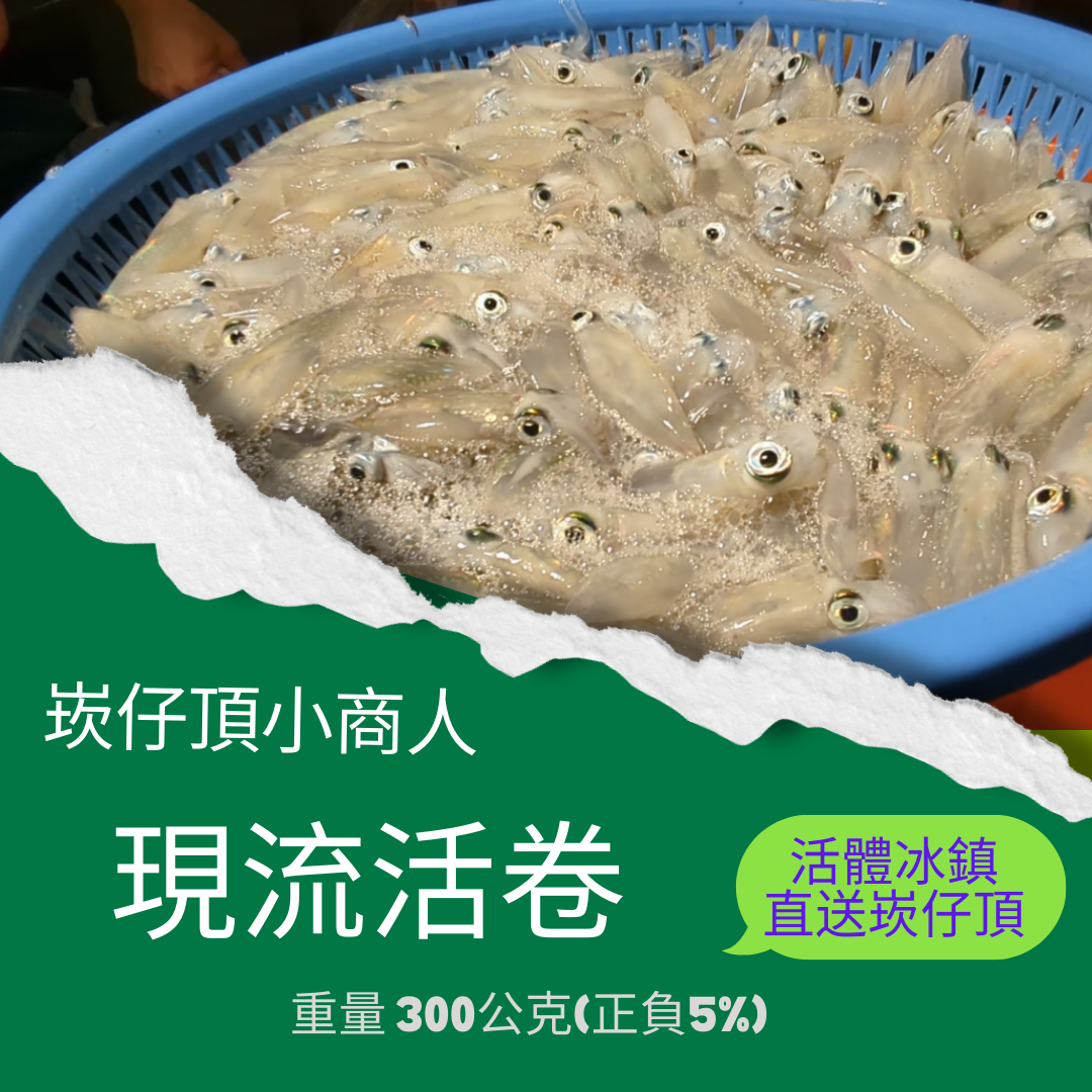 現流活體小卷，48小時內低溫海水直送崁仔頂，可遇不可求