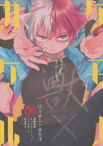 出轟日文同人本