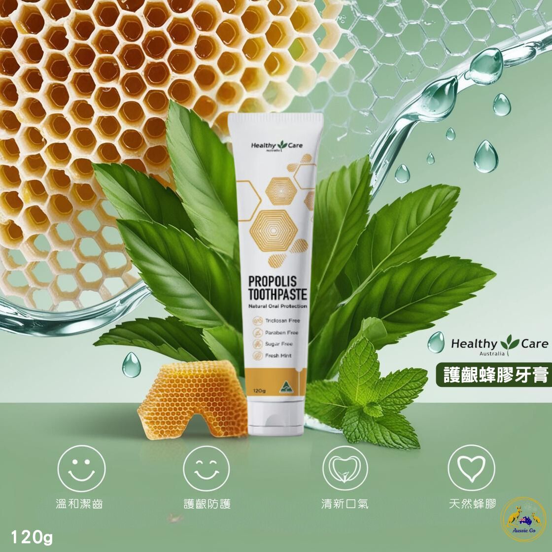 Healthy Care 護齦蜂膠牙膏 薄荷味 120g | 蜂膠牙膏 牙膏  舒緩抗敏 專業護齦
