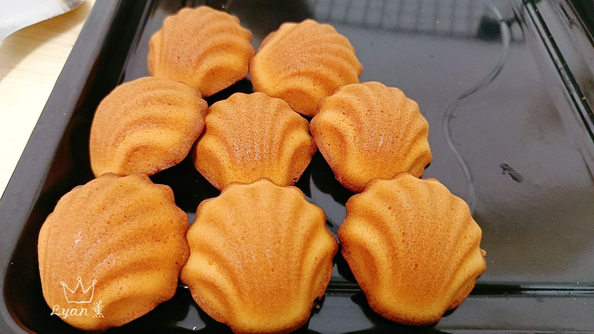 🐚 瑪德蓮貝殼蛋糕 🐚8入裝 ✅ 蛋奶素可食