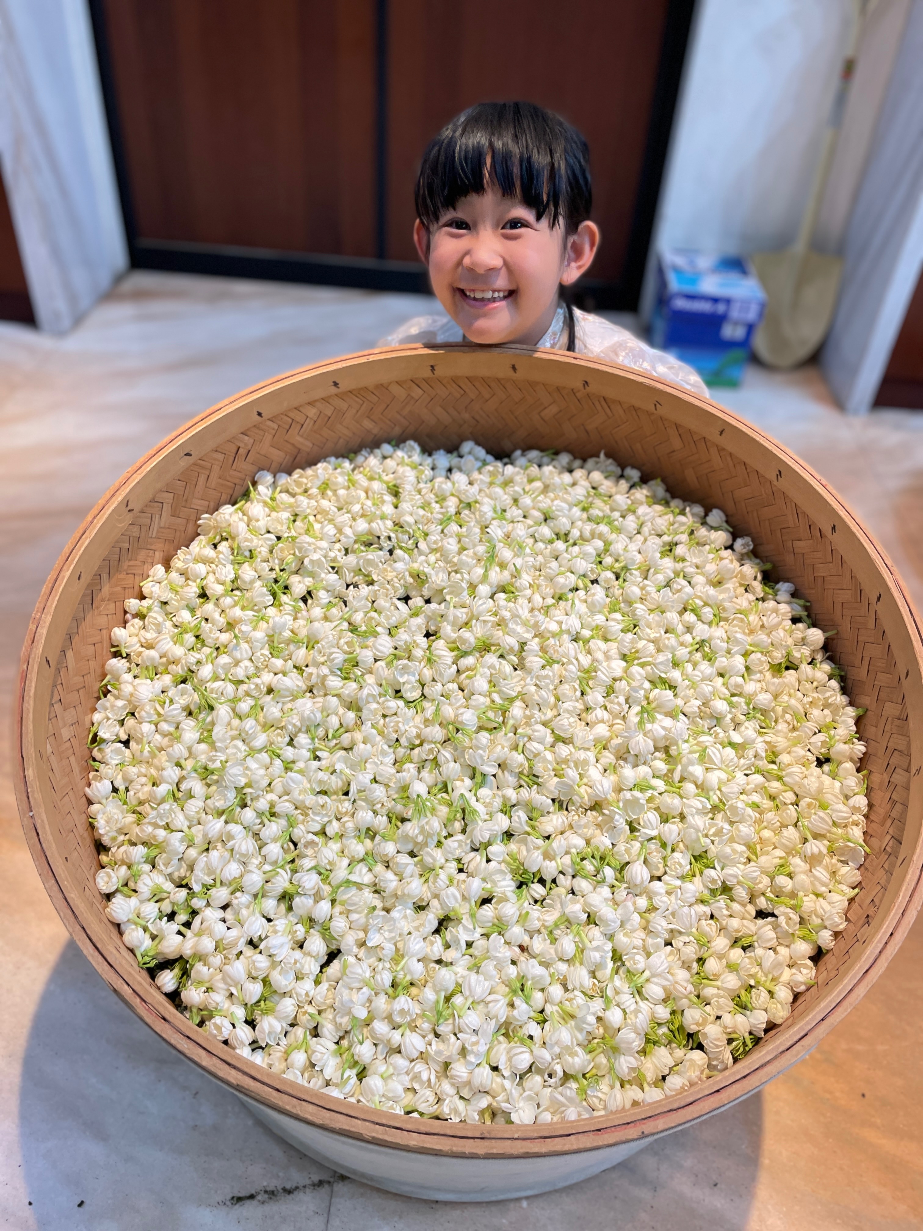 采玉茗優-QQ茉莉烏