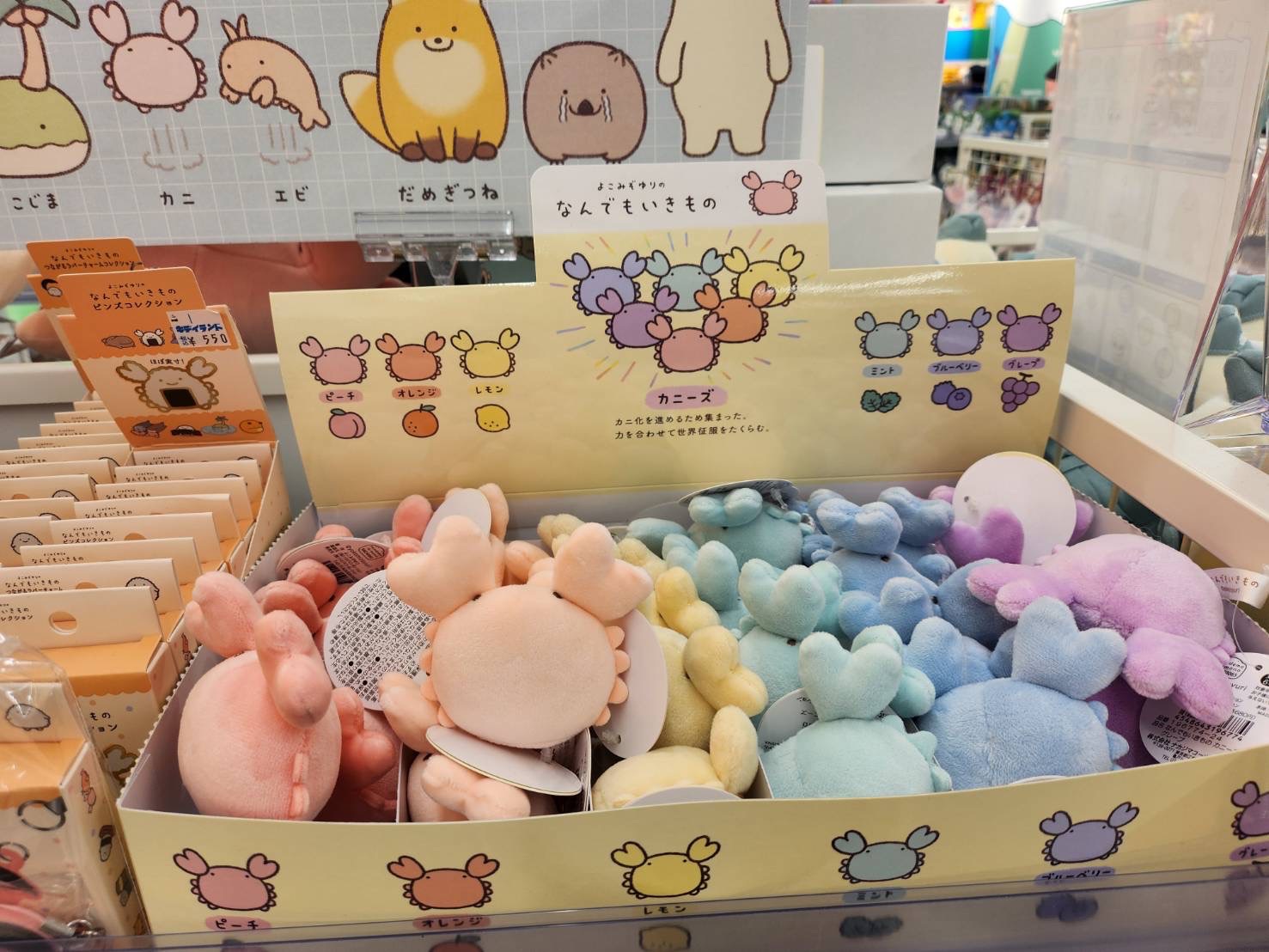 生物（六月中旬出貨🚚）