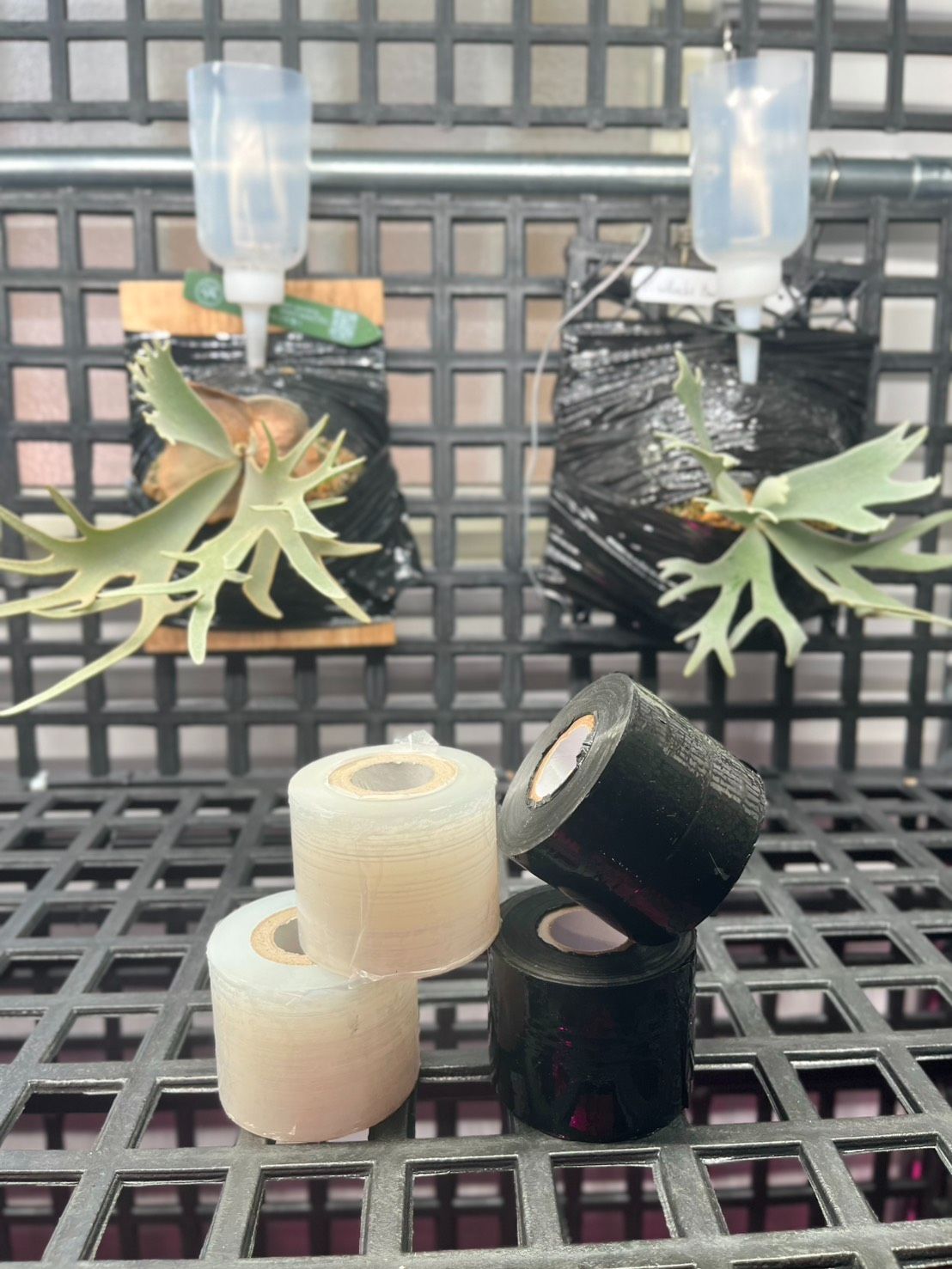 黑膠膜