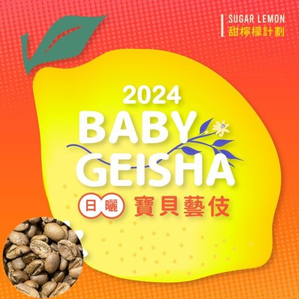 《小城現烘精品咖啡》 衣索比亞 寶貝藝伎 | 日曬 | 吉瑪莉姆 | 果美村 | 甜檸檬計畫 淺焙