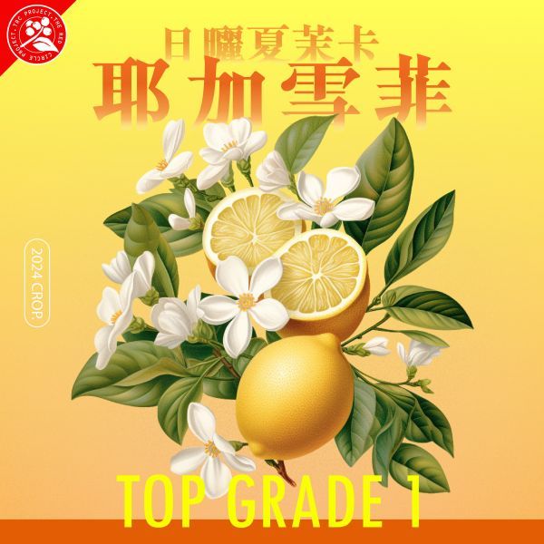 《小城現烘精品咖啡》 衣索比亞 日曬 夏茉卡 | TOP G1 | 紅圈計畫 | 耶加雪菲 頂級 G1 淺焙