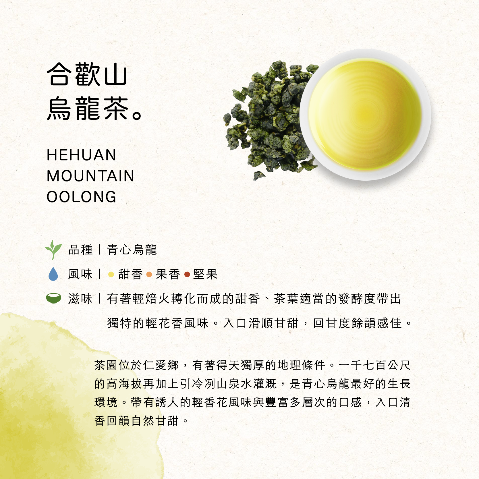 合歡山烏龍茶-輕烘焙