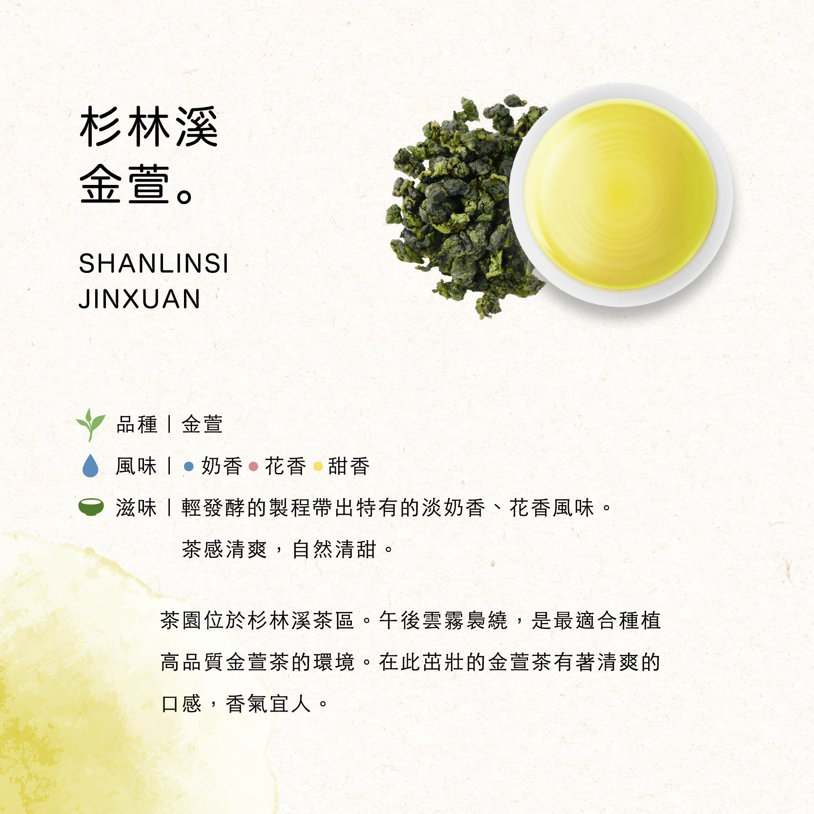 杉林溪金萱-機剪